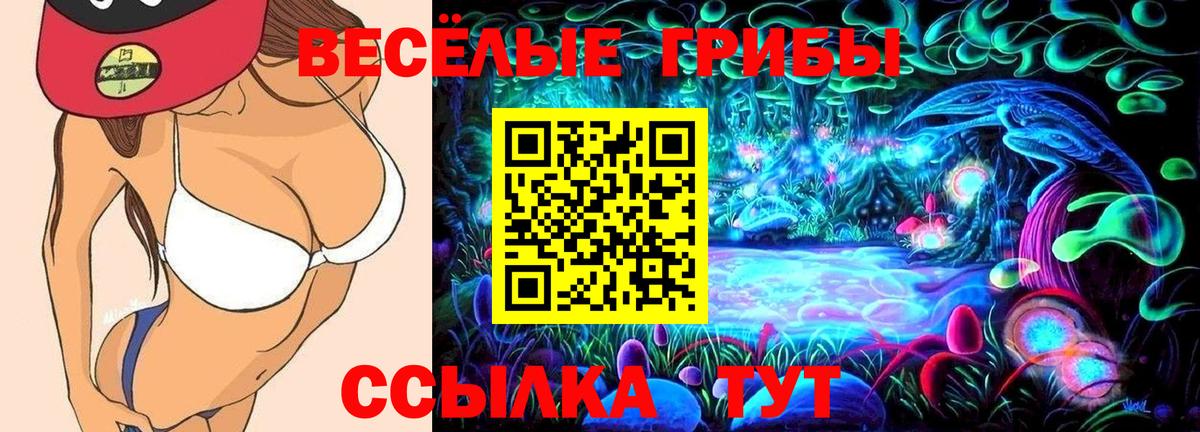 Приморско-Ахтарск  Псилоцибиновые грибы прущие грибы  Вход с VPN 